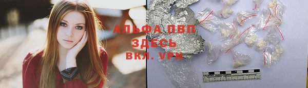 хмурый Алексин