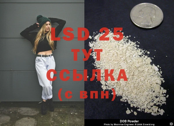 хмурый Алексин