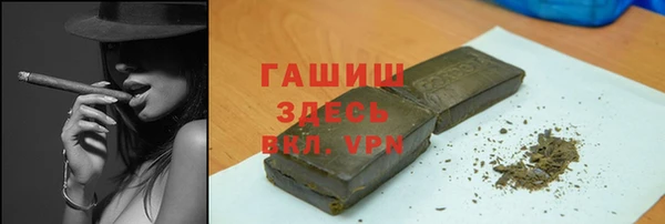 хмурый Алексин