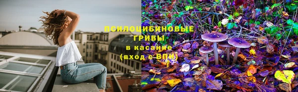 спиды Алзамай