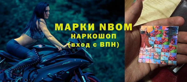 хмурый Алексин