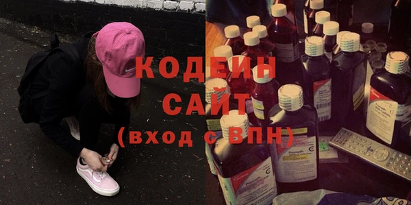 хмурый Алексин