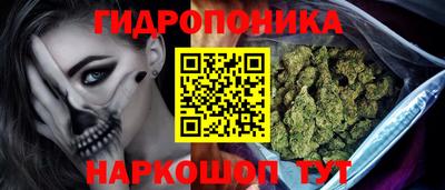 крисы Усть-Илимск