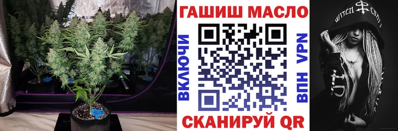 Дистиллят ТГК гашишное масло  как найти закладки  Курчалой 