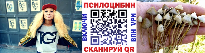 купить   Курчалой  Псилоцибиновые грибы ЛСД 