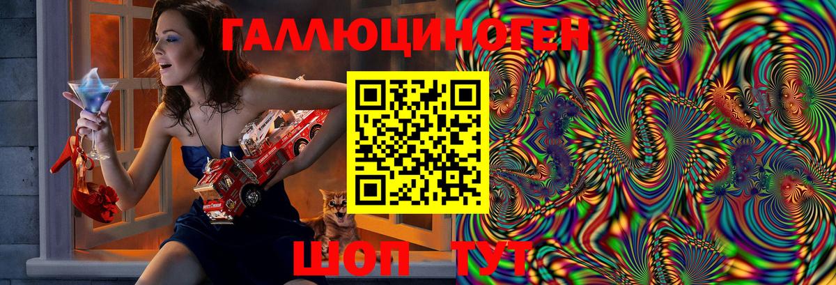 Галлюциногенные грибы Psilocybe Курчалой