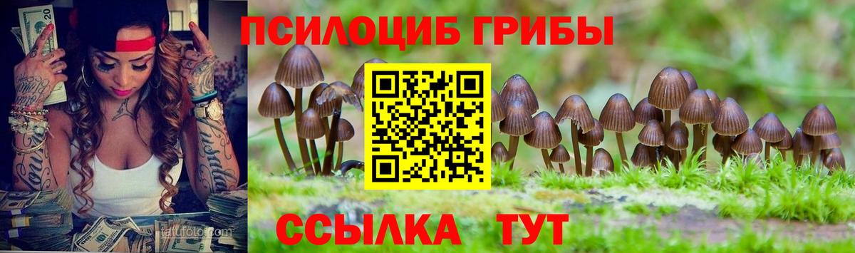 Курчалой  Галлюциногенные грибы прущие грибы  Псилоцибиновые грибы мицелий  даркнет сайт  Вход с VPN 
