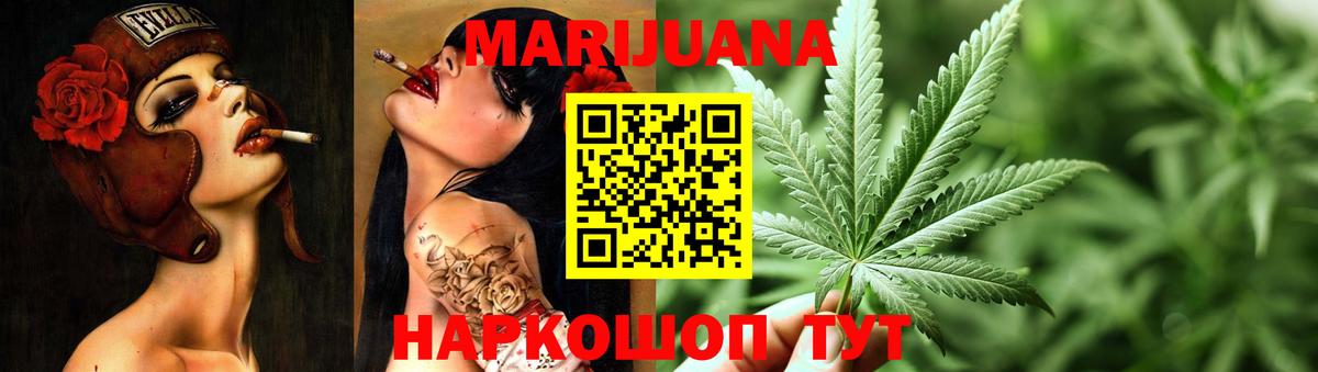 Канабис сатива Курчалой